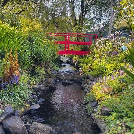 Streamside B And B With Parking Drimoleague Dış mekan fotoğraf