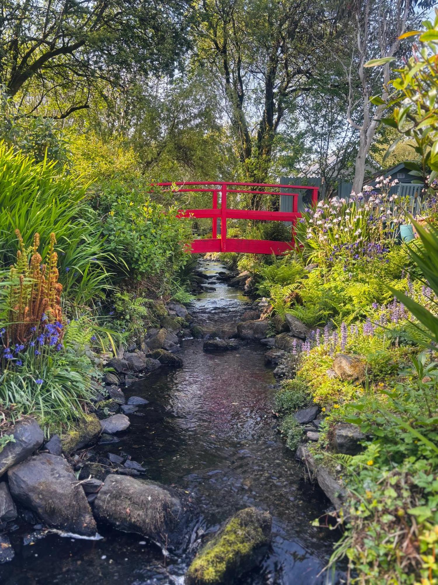 Streamside B And B With Parking Drimoleague Dış mekan fotoğraf